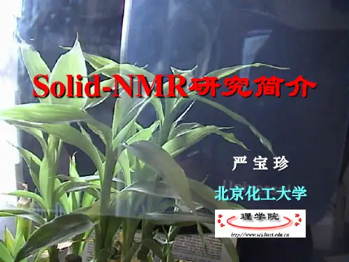 固体核磁介绍ppt