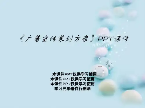 《广告宣传策划方案》PPT课件