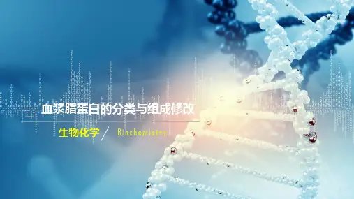 脂类及其代谢—血脂及血浆脂蛋白(生物化学课件)