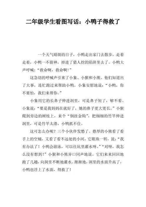 二年级学生看图写话：小鸭子得救了