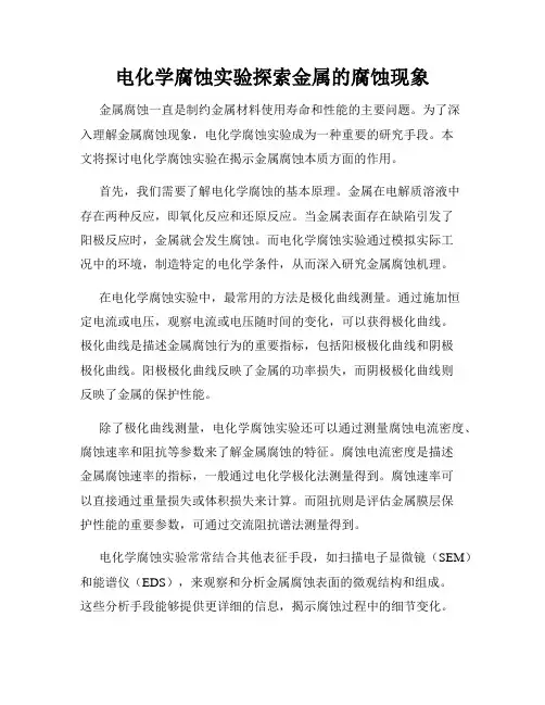 电化学腐蚀实验探索金属的腐蚀现象