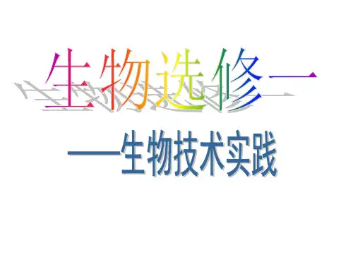 专题1-传统发酵技术的应用ppt课件