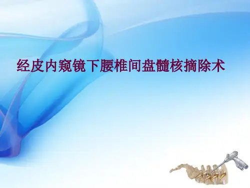 椎间孔镜手术技术