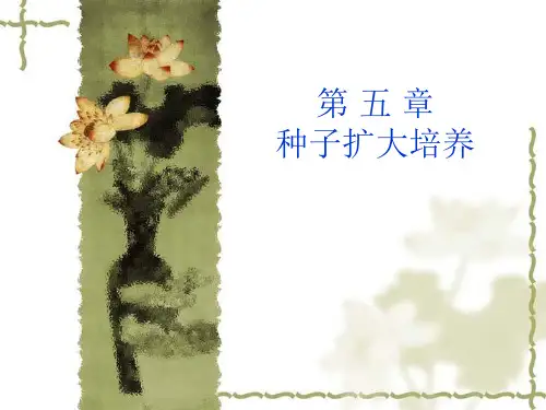 种子扩大培养