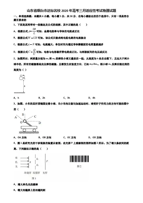 山东省烟台市达标名校2020年高考三月适应性考试物理试题含解析