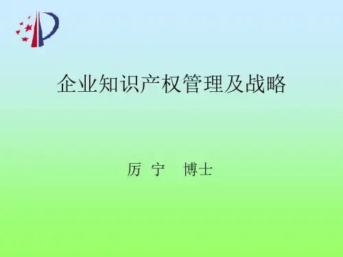 企业知识产权管理及战略