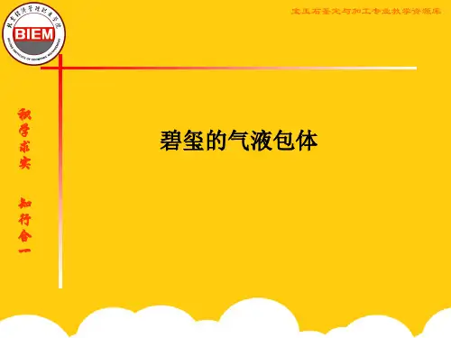 【实用】碧玺的气液包裹体PPT文档