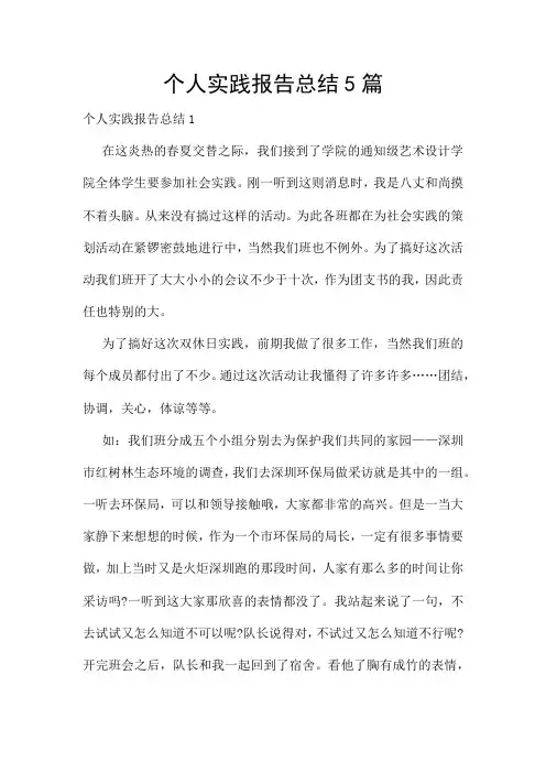 个人实践报告总结5篇