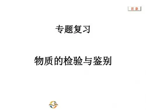 中考化学专题复习物质的检验与鉴别PPT课件 人教版