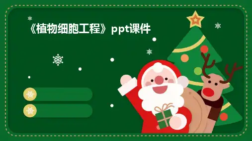 《植物细胞工程》课件