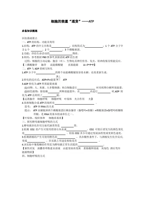 2011届高三生物一轮复习必备学案必修一细胞的能量通货——ATP【新课标】