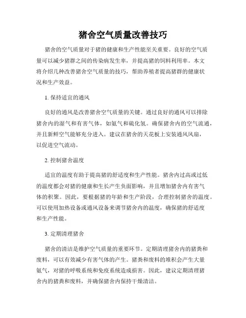 猪舍空气质量改善技巧