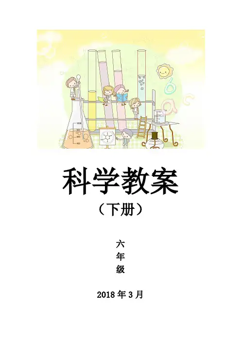新教科版六年级下册科学全册教案