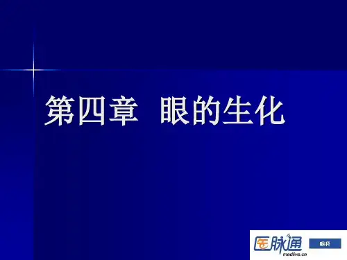 眼的生化