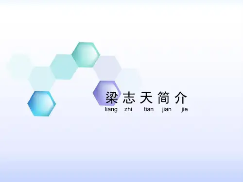 梁 志 天 简 介