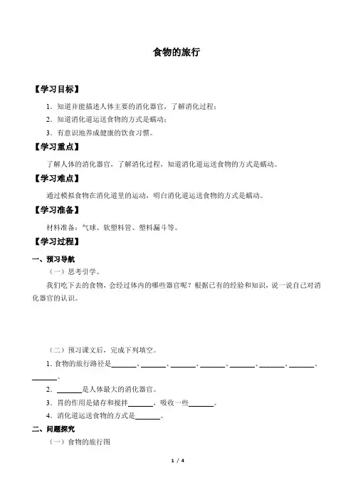 苏教版三年级上册 科学 学案 18.食物的旅行
