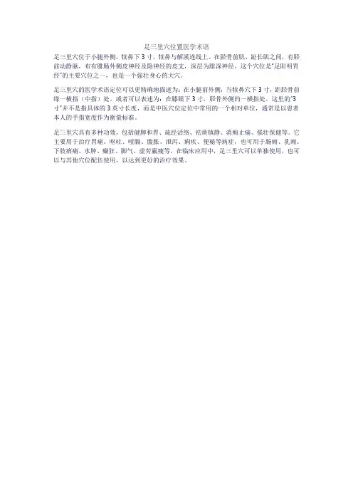 足三里穴位置医学术语