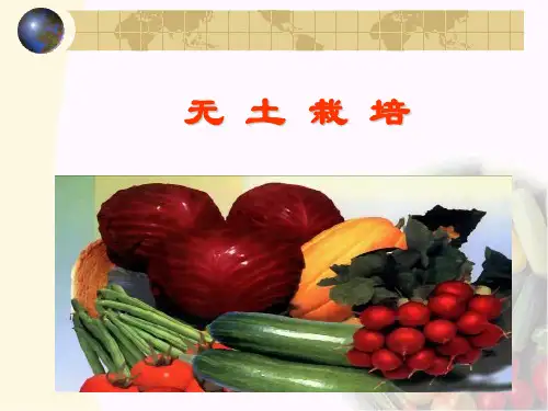 无土栽培 概论