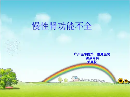 慢性肾功能不全PPT课件