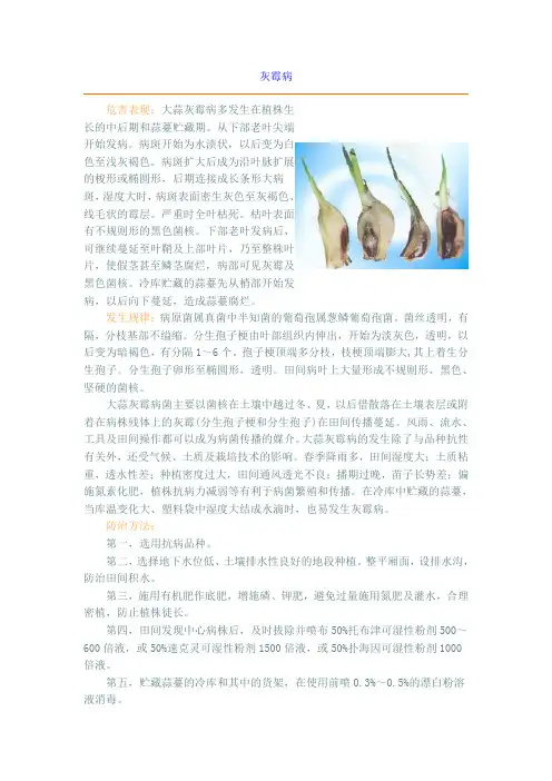 灰霉病