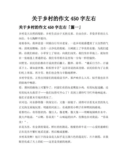 关于乡村的作文450字左右