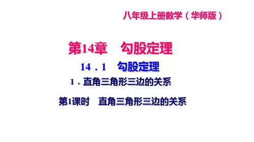 华师版八年级上册数学 第14章 勾股定理 勾股定理 第1课时 直角三角形三边的关系