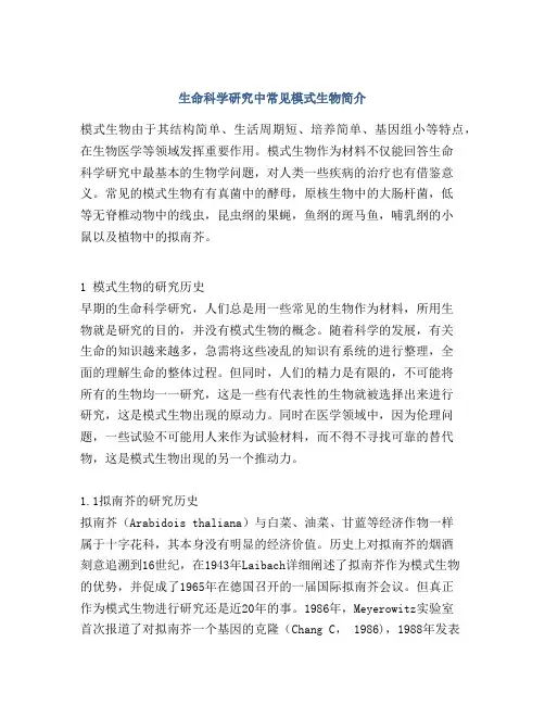 生命科学研究中常见模式生物简介