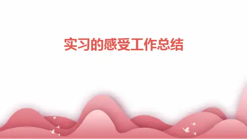 实习的感受工作总结PPT