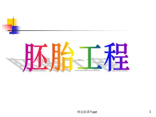 胚胎工程ppt