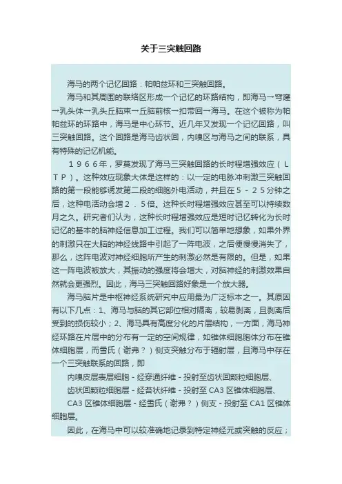 关于三突触回路