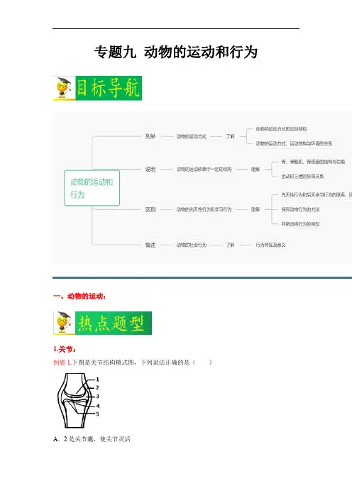 专题09 动物的运动和行为-2023年中考生物二轮热点题型归纳与变式演练(解析版)