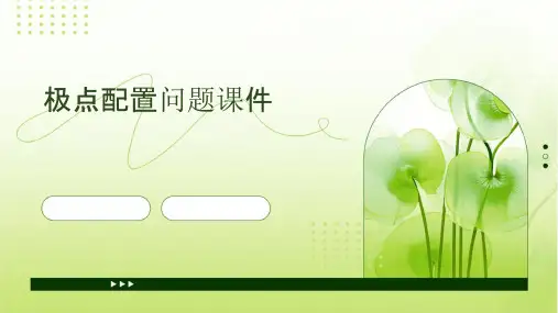 极点配置问题课件