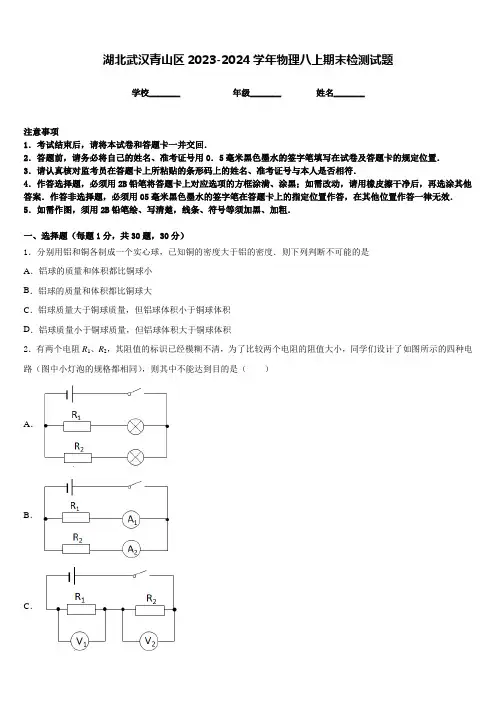 湖北武汉青山区2023-2024学年物理八上期末检测试题含答案