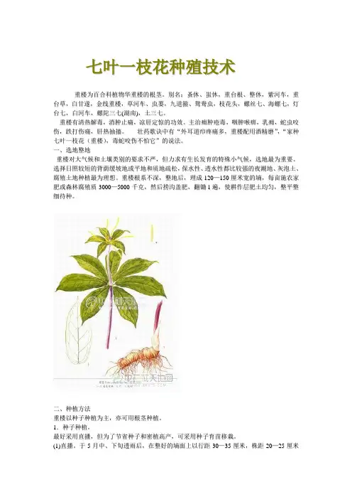 七叶一枝花(重楼)种植技术