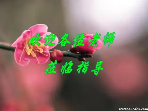 三角函数的图像与性质