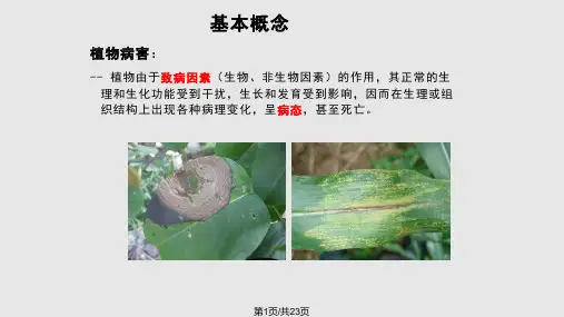 植物病理学实验课PPT课件