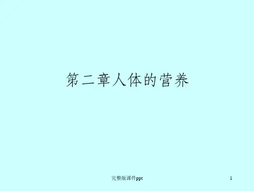 初三生物复习课件人体的营养