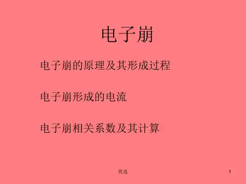 (完整版)电子崩.ppt