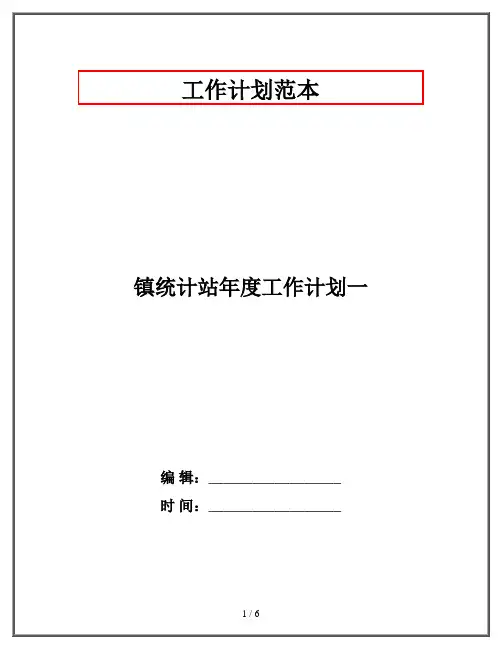 镇统计站年度工作计划一