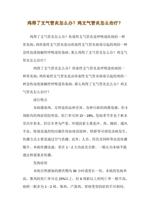 鸡得了支气管炎怎么办？鸡支气管炎怎么治疗？