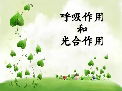 呼吸作用和光合作用PPT课件