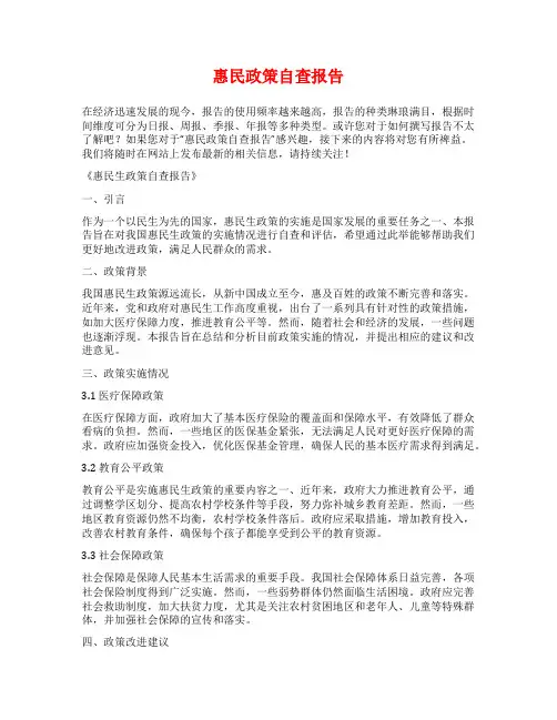 惠民政策自查报告