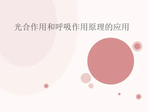 苏教版生物七上3.6.5 光合作用和呼吸作用原理的应用  课件(共22张PPT)