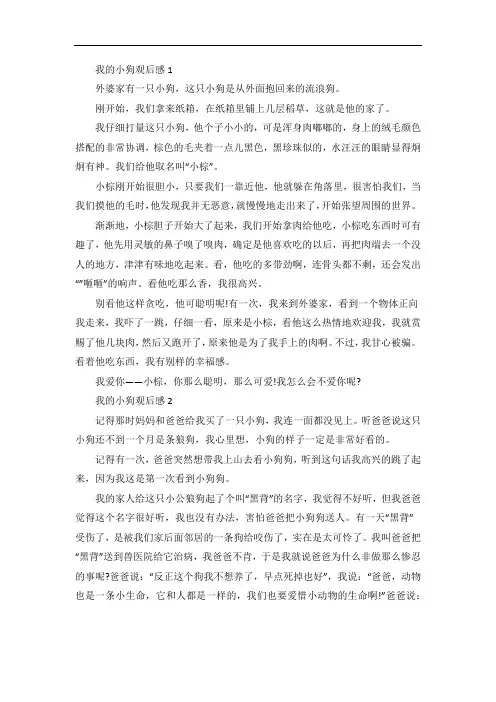 我的小狗观后感四年级作文作文大全