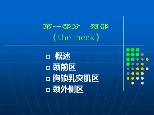 3局部解剖学颈部