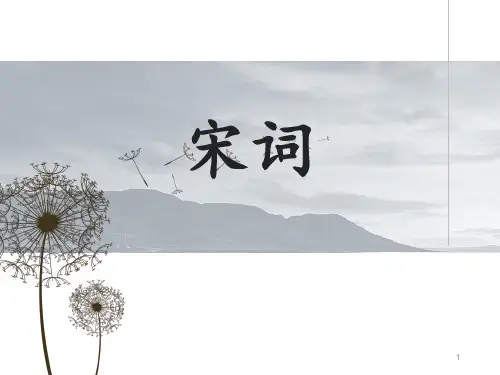 宋词的介绍汇编PPT课件