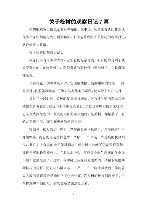 关于松树的观察日记7篇(精编版)