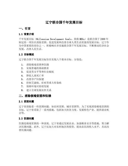 辽宁联合国千年发展目标