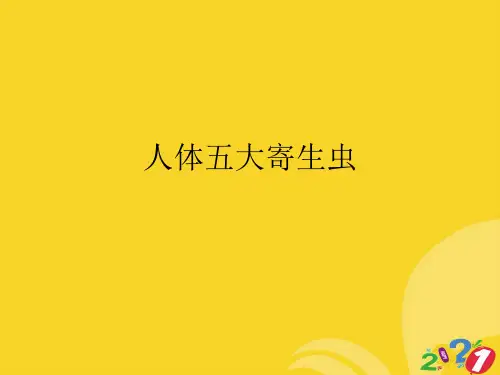 人体五大寄生虫实用资料ppt