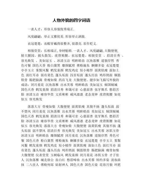 人物外貌的四字词语